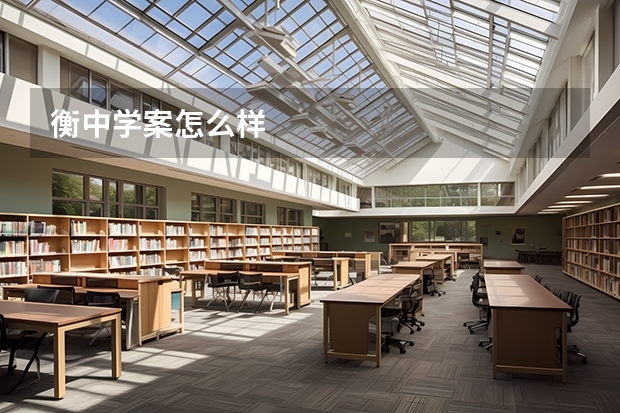 衡中学案怎么样