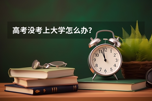 高考没考上大学怎么办？