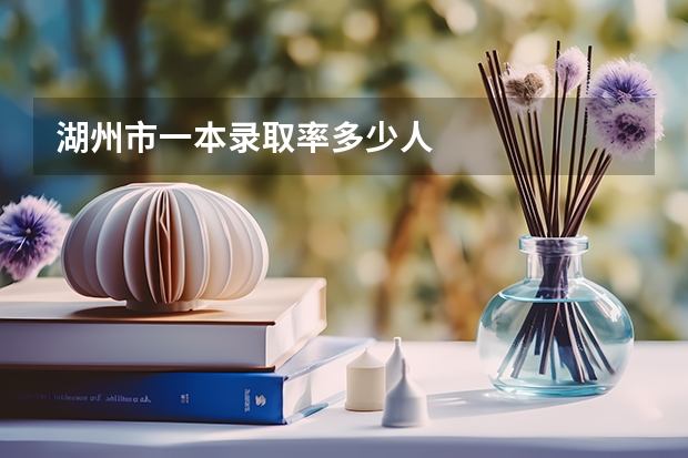湖州市一本录取率多少人