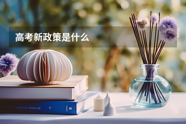 高考新政策是什么