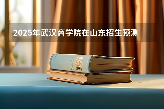 2025年武汉商学院在山东招生预测