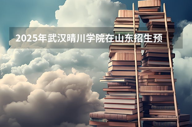 2025年武汉晴川学院在山东招生预测