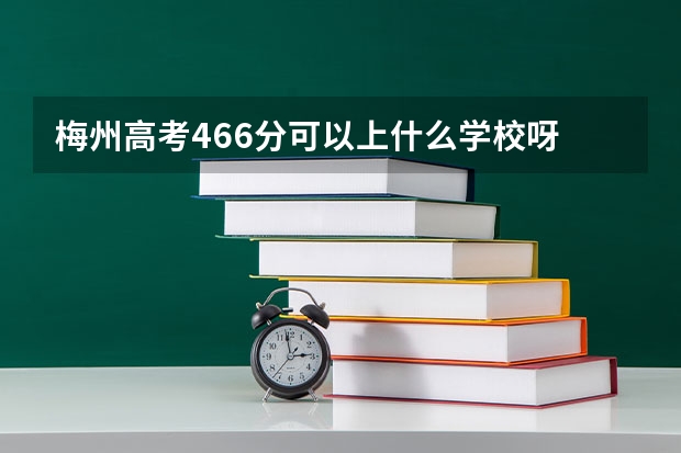 梅州高考466分可以上什么学校呀