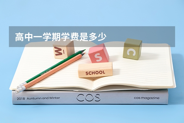 高中一学期学费是多少
