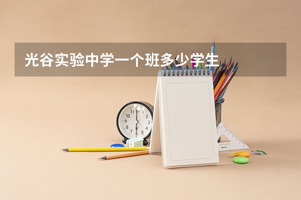 光谷实验中学一个班多少学生