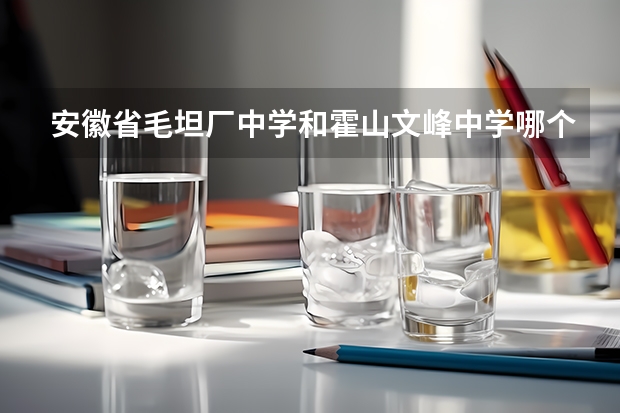 安徽省毛坦厂中学和霍山文峰中学哪个复读好一点升学率高一点