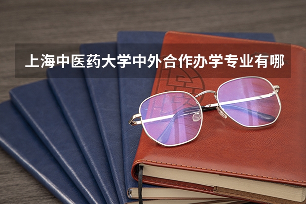 上海中医药大学中外合作办学专业有哪些？