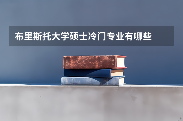 布里斯托大学硕士冷门专业有哪些