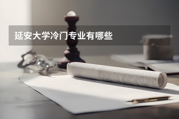 延安大学冷门专业有哪些