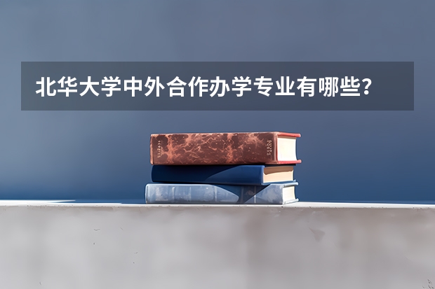 北华大学中外合作办学专业有哪些？